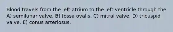 Blood travels from the left atrium to the left ventricle through the A) semilunar valve. B) fossa ovalis. C) mitral valve. D) tricuspid valve. E) conus arteriosus.