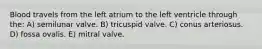Blood travels from the left atrium to the left ventricle through the: A) semilunar valve. B) tricuspid valve. C) conus arteriosus. D) fossa ovalis. E) mitral valve.