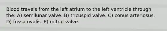 Blood travels from the left atrium to the left ventricle through the: A) semilunar valve. B) tricuspid valve. C) conus arteriosus. D) fossa ovalis. E) mitral valve.