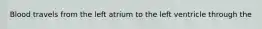 Blood travels from the left atrium to the left ventricle through the