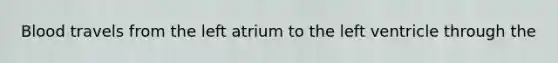 Blood travels from the left atrium to the left ventricle through the