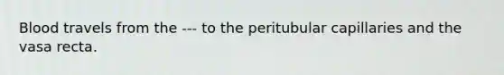 Blood travels from the --- to the peritubular capillaries and the vasa recta.