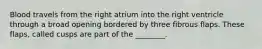 Blood travels from the right atrium into the right ventricle through a broad opening bordered by three fibrous flaps. These flaps, called cusps are part of the ________.