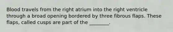 Blood travels from the right atrium into the right ventricle through a broad opening bordered by three fibrous flaps. These flaps, called cusps are part of the ________.