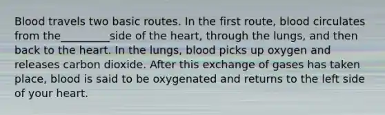 Blood travels two basic routes. In the first route, blood circulates from the_________side of the heart, through the lungs, and then back to the heart. In the lungs, blood picks up oxygen and releases carbon dioxide. After this exchange of gases has taken place, blood is said to be oxygenated and returns to the left side of your heart.