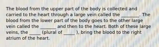 <a href='https://www.questionai.com/knowledge/k7oXMfj7lk-the-blood' class='anchor-knowledge'>the blood</a> from the upper part of the body is collected and carried to <a href='https://www.questionai.com/knowledge/kya8ocqc6o-the-heart' class='anchor-knowledge'>the heart</a> through a large vein called the ________. The blood from the lower part of the body goes to the other large vein called the _______ and then to the heart. Both of these large veins, the _____ (plural of _____ ), bring the blood to the right atrium of the heart.