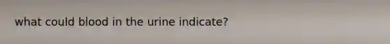 what could blood in the urine indicate?