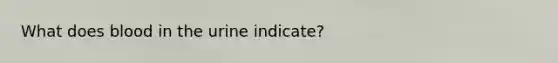 What does blood in the urine indicate?