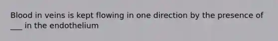 Blood in veins is kept flowing in one direction by the presence of ___ in the endothelium