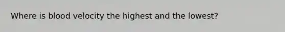 Where is blood velocity the highest and the lowest?