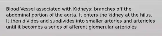 Blood Vessel associated with Kidneys: branches off the abdominal portion of the aorta. It enters the kidney at the hilus. It then divides and subdivides into smaller arteries and arterioles until it becomes a series of afferent glomerular arterioles