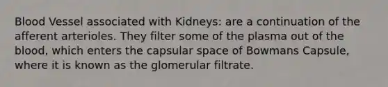 Blood Vessel associated with Kidneys: are a continuation of the afferent arterioles. They filter some of the plasma out of the blood, which enters the capsular space of Bowmans Capsule, where it is known as the glomerular filtrate.