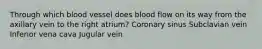 Through which blood vessel does blood flow on its way from the axillary vein to the right atrium? Coronary sinus Subclavian vein Inferior vena cava Jugular vein