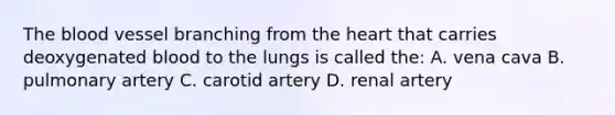 <a href='https://www.questionai.com/knowledge/k7oXMfj7lk-the-blood' class='anchor-knowledge'>the blood</a> vessel branching from <a href='https://www.questionai.com/knowledge/kya8ocqc6o-the-heart' class='anchor-knowledge'>the heart</a> that carries deoxygenated blood to the lungs is called the: A. vena cava B. pulmonary artery C. carotid artery D. renal artery