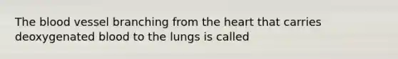 The blood vessel branching from the heart that carries deoxygenated blood to the lungs is called