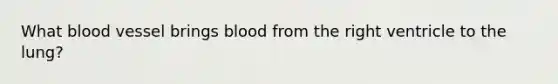 What blood vessel brings blood from the right ventricle to the lung?