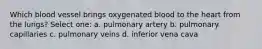 Which blood vessel brings oxygenated blood to the heart from the lungs? Select one: a. pulmonary artery b. pulmonary capillaries c. pulmonary veins d. inferior vena cava