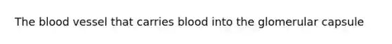 <a href='https://www.questionai.com/knowledge/k7oXMfj7lk-the-blood' class='anchor-knowledge'>the blood</a> vessel that carries blood into the glomerular capsule