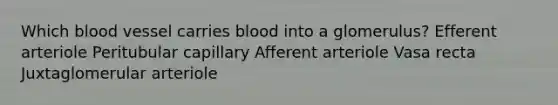 Which blood vessel carries blood into a glomerulus? Efferent arteriole Peritubular capillary Afferent arteriole Vasa recta Juxtaglomerular arteriole