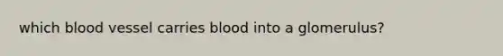 which blood vessel carries blood into a glomerulus?