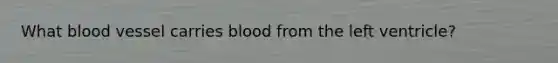 What blood vessel carries blood from the left ventricle?