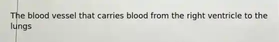 The blood vessel that carries blood from the right ventricle to the lungs