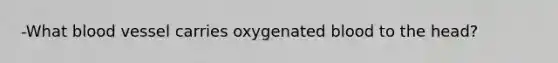 -What blood vessel carries oxygenated blood to the head?​