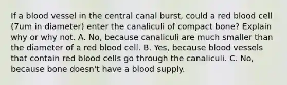 If a blood vessel in the central canal burst, could a red blood cell (7um in diameter) enter the canaliculi of compact bone? Explain why or why not. A. No, because canaliculi are much smaller than the diameter of a red blood cell. B. Yes, because blood vessels that contain red blood cells go through the canaliculi. C. No, because bone doesn't have a blood supply.