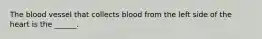 The blood vessel that collects blood from the left side of the heart is the ______.