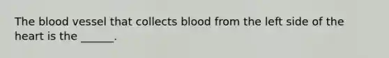 The blood vessel that collects blood from the left side of the heart is the ______.