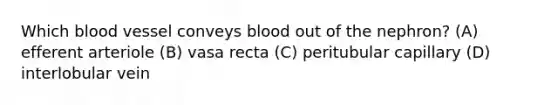 Which blood vessel conveys blood out of the nephron? (A) efferent arteriole (B) vasa recta (C) peritubular capillary (D) interlobular vein