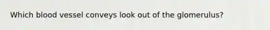 Which blood vessel conveys look out of the glomerulus?