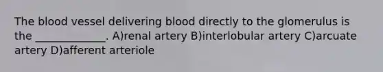 <a href='https://www.questionai.com/knowledge/k7oXMfj7lk-the-blood' class='anchor-knowledge'>the blood</a> vessel delivering blood directly to the glomerulus is the _____________. A)renal artery B)interlobular artery C)arcuate artery D)afferent arteriole