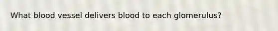 What blood vessel delivers blood to each glomerulus?