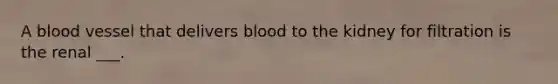 A blood vessel that delivers blood to the kidney for filtration is the renal ___.