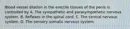 Blood vessel dilation in the erectile tissues of the penis is controlled by A. The sympathetic and parasympathetic nervous system. B. Reflexes in the spinal cord. C. The central nervous system. D. The sensory somatic nervous system.