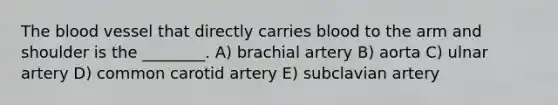 The blood vessel that directly carries blood to the arm and shoulder is the ________. A) brachial artery B) aorta C) ulnar artery D) common carotid artery E) subclavian artery