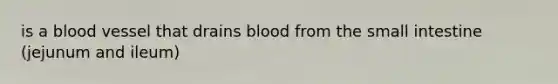 is a blood vessel that drains blood from the small intestine (jejunum and ileum)