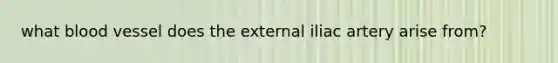 what blood vessel does the external iliac artery arise from?