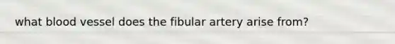 what blood vessel does the fibular artery arise from?