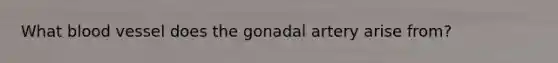 What blood vessel does the gonadal artery arise from?