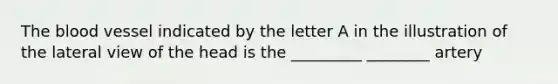 <a href='https://www.questionai.com/knowledge/k7oXMfj7lk-the-blood' class='anchor-knowledge'>the blood</a> vessel indicated by the letter A in the illustration of the lateral view of the head is the _________ ________ artery