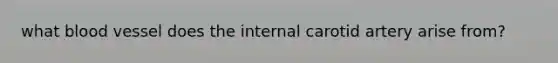 what blood vessel does the internal carotid artery arise from?