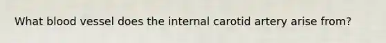 What blood vessel does the internal carotid artery arise from?