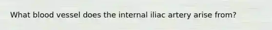 What blood vessel does the internal iliac artery arise from?