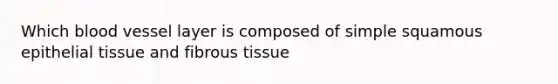 Which blood vessel layer is composed of simple squamous epithelial tissue and fibrous tissue