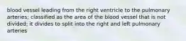 blood vessel leading from the right ventricle to the pulmonary arteries; classified as the area of the blood vessel that is not divided; it divides to split into the right and left pulmonary arteries