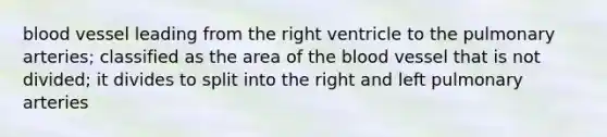 blood vessel leading from the right ventricle to the pulmonary arteries; classified as the area of the blood vessel that is not divided; it divides to split into the right and left pulmonary arteries