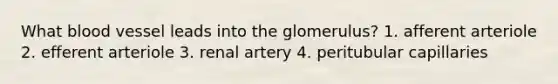 What blood vessel leads into the glomerulus? 1. afferent arteriole 2. efferent arteriole 3. renal artery 4. peritubular capillaries