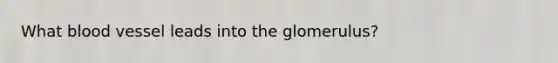 What blood vessel leads into the glomerulus?